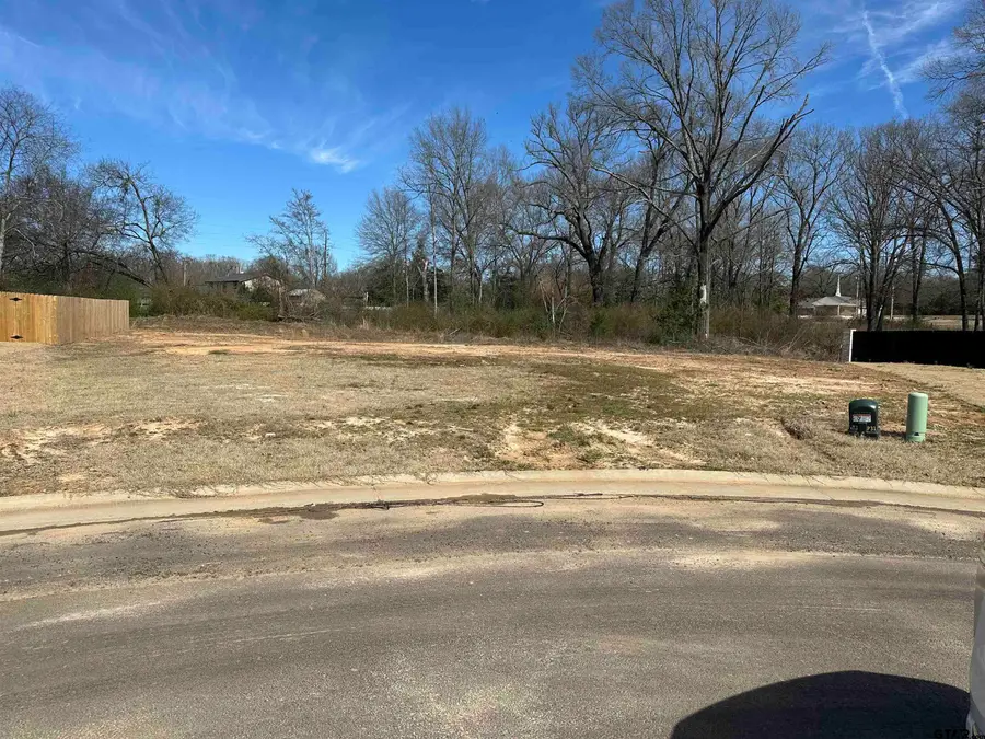 111 Arledge, Mount Pleasant, TX 75456 - Image #2