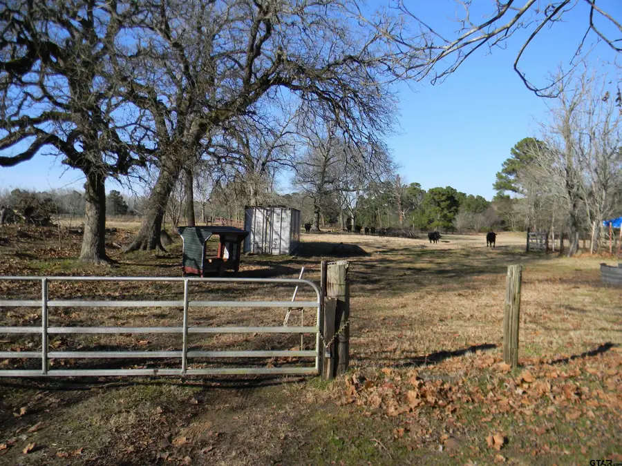 435 FM 2064 52.82ac. W/ Cabin, Jacksonville, TX 75766 - Image #3