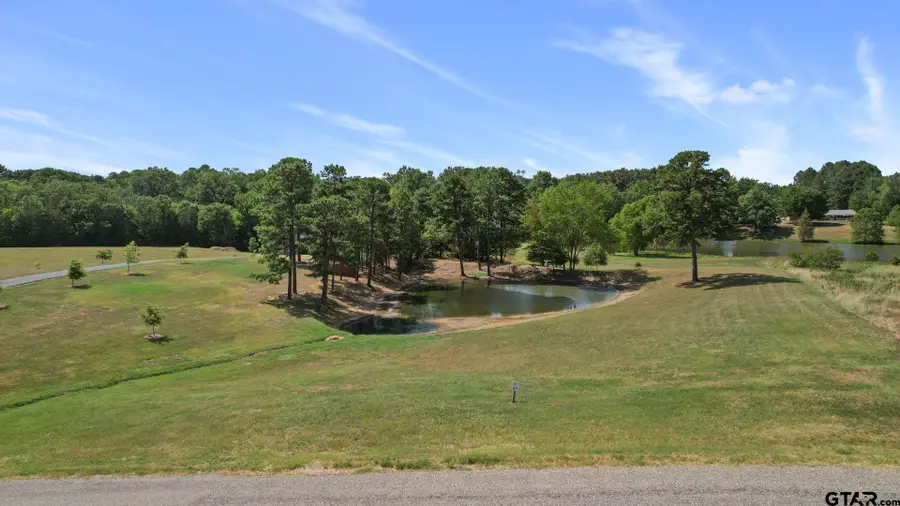 TBD PR 52320, Pittsburg, TX 75686 - #2