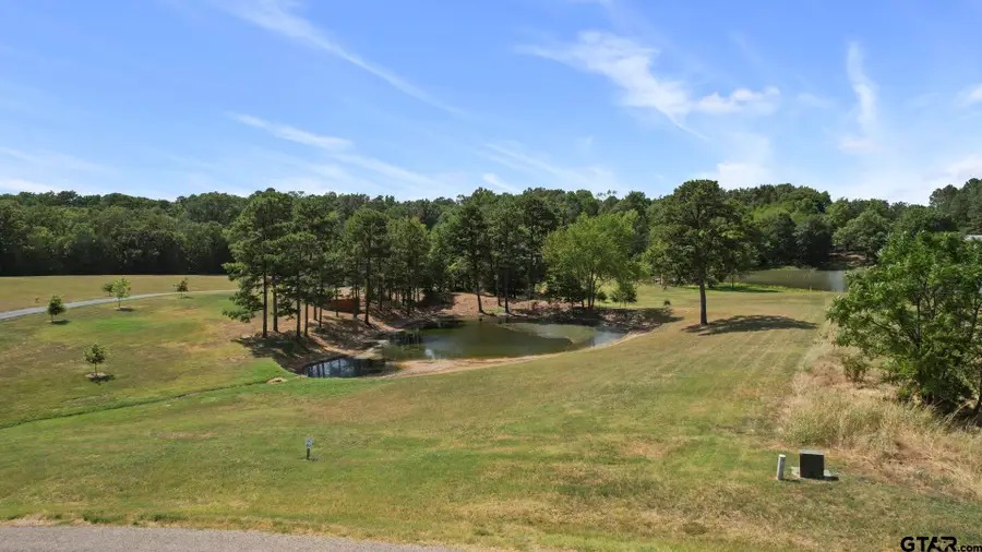 TBD PR 52320, Pittsburg, TX 75686 - #3