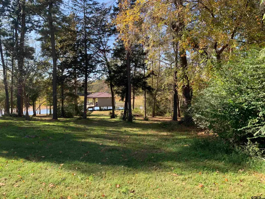 11524 & 11536 Drake's Landing, Frankston, TX 75763 - Image #3