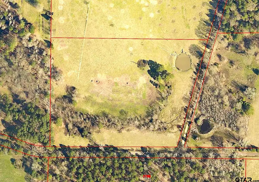 11 AC CR 2620 & CR 2621, Hughes Springs, TX 75656 - Image #2