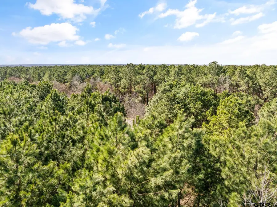 Lot 1 FM 556, Pittsburg, TX 75686 - Image #3