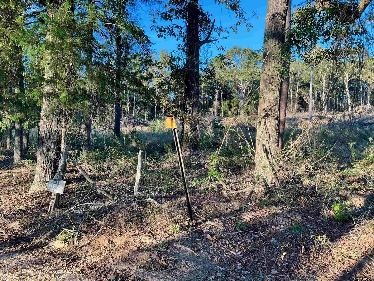 13805 CR 291, Tyler, TX 75707 - Image #1