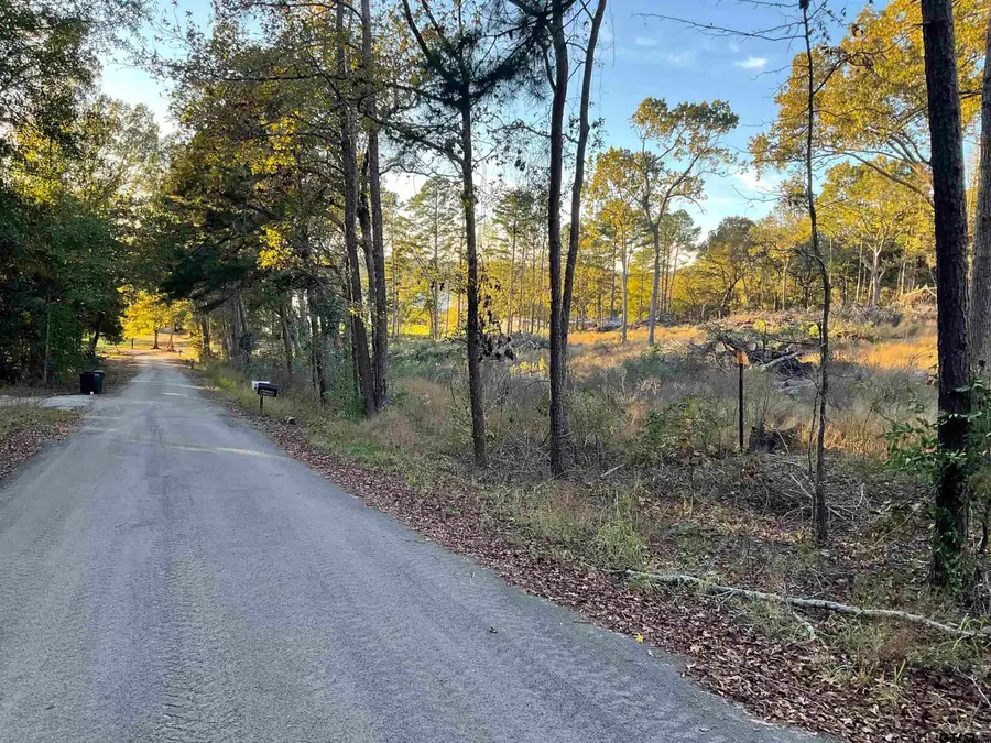 13805 CR 291, Tyler, TX 75707 - Image #2