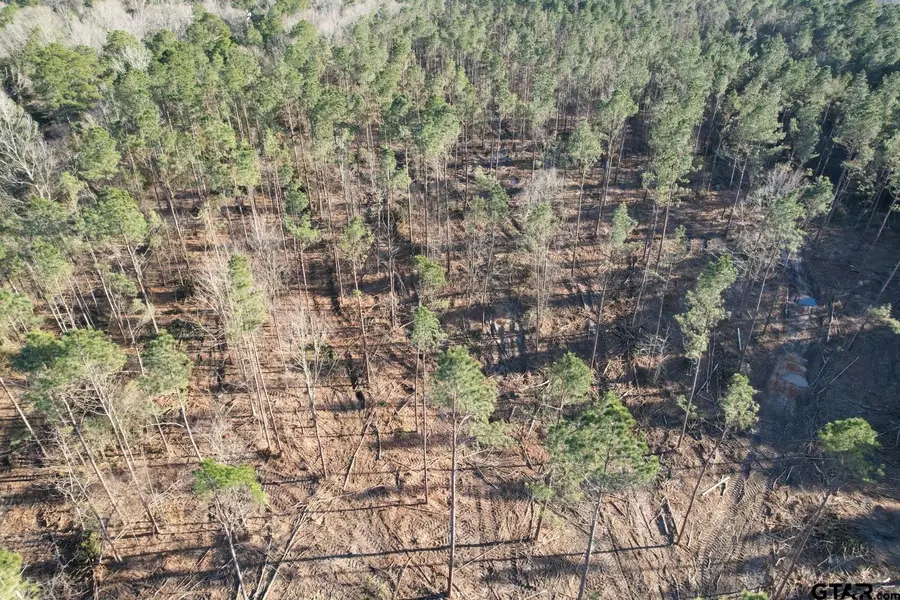 TBD County Road 430, Carthage, TX 75633 - Image #2