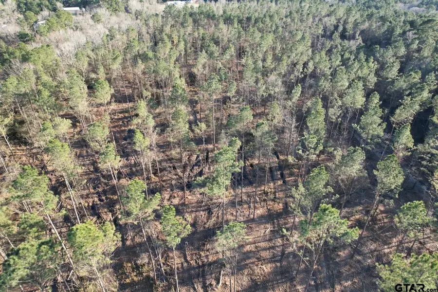 TBD County Road 430, Carthage, TX 75633 - Image #3