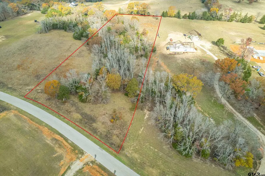 21540 Riva Ridge Dr, Tyler, TX 75704 - #2