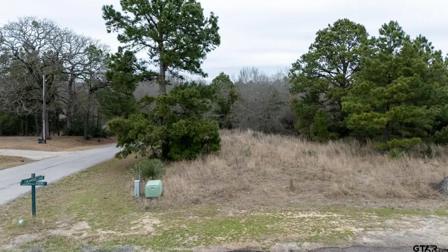 LOT 65 Durango Path, Holly Lake Ranch, TX 75765 - Image #2