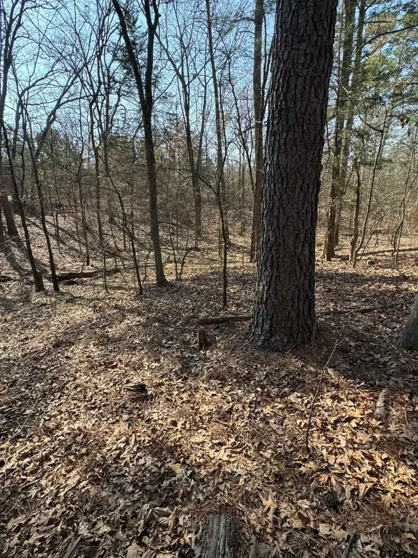 Lots 274, 280 Wichita, Mt Vernon, TX 75457