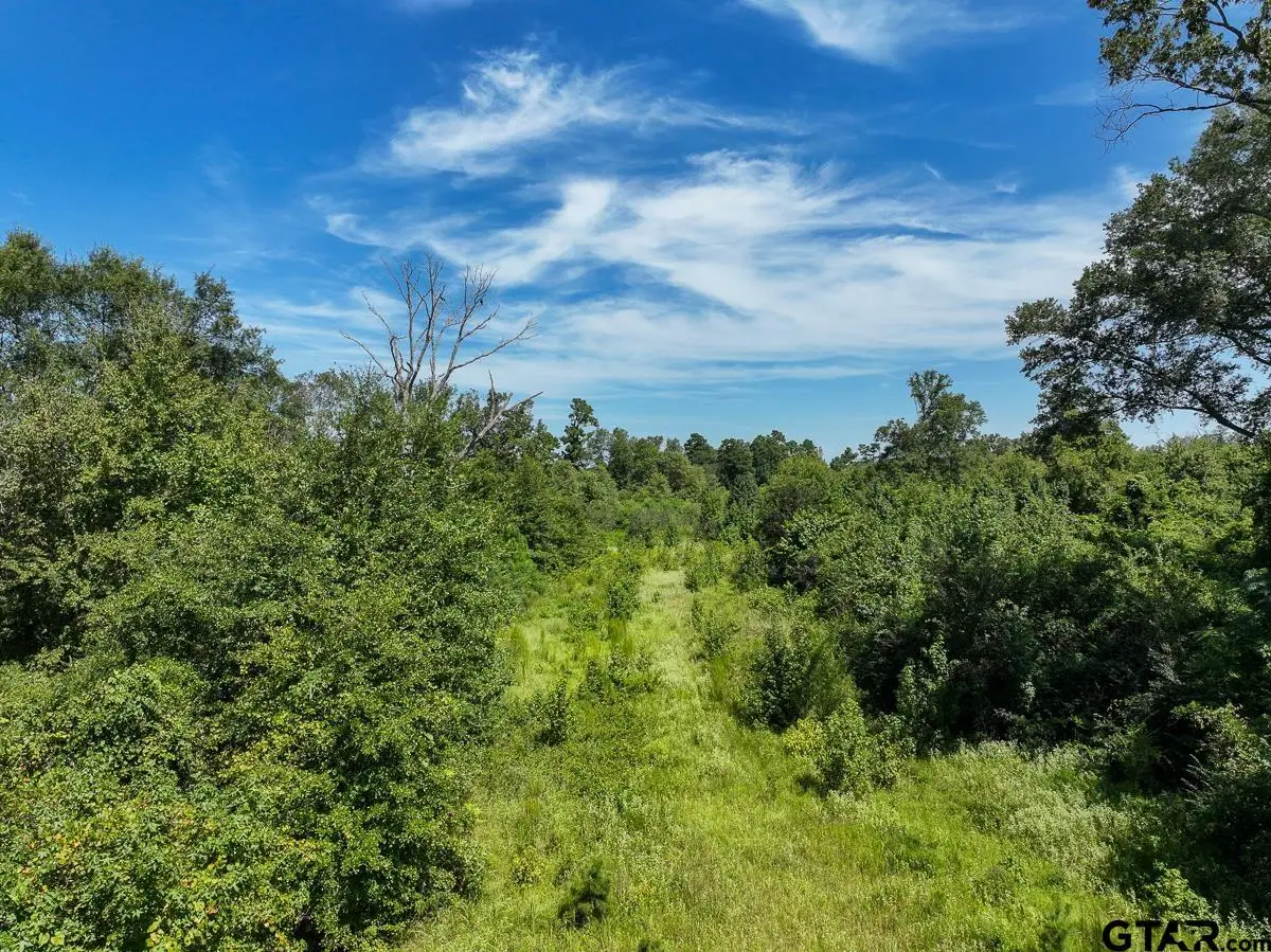 0 US 271, Gladewater, TX 75647 - Image #1