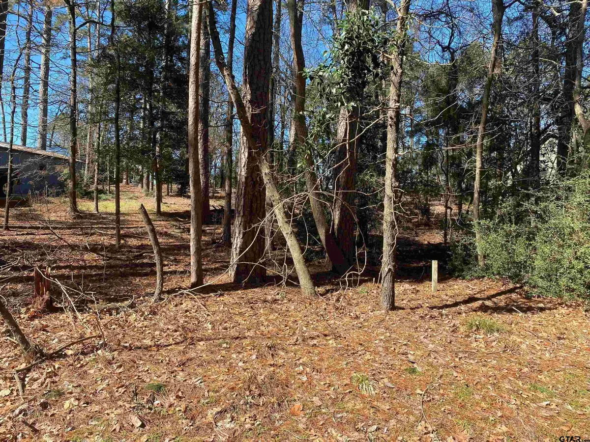 Lot 303 Weeping Willow Cove, Holly Lake Ranch, TX 75765 - Image #1