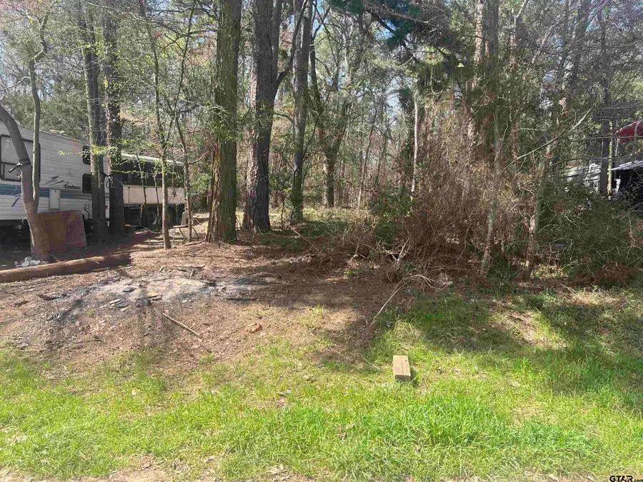 TBD Paradise Circle, Chandler, TX 75758 - Image #2