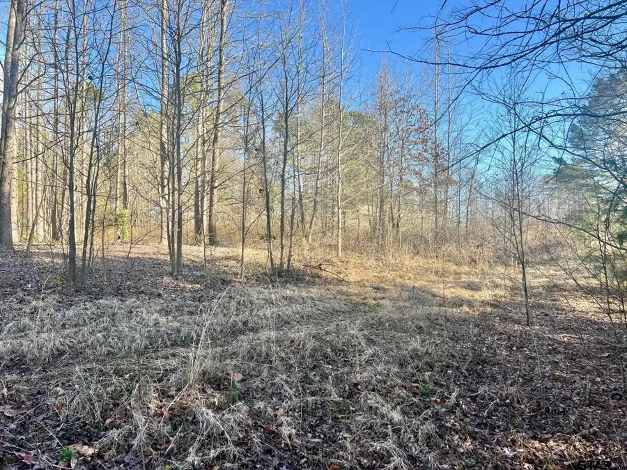 TBD CR 1670, Mount Pleasant, TX 75455 - #2