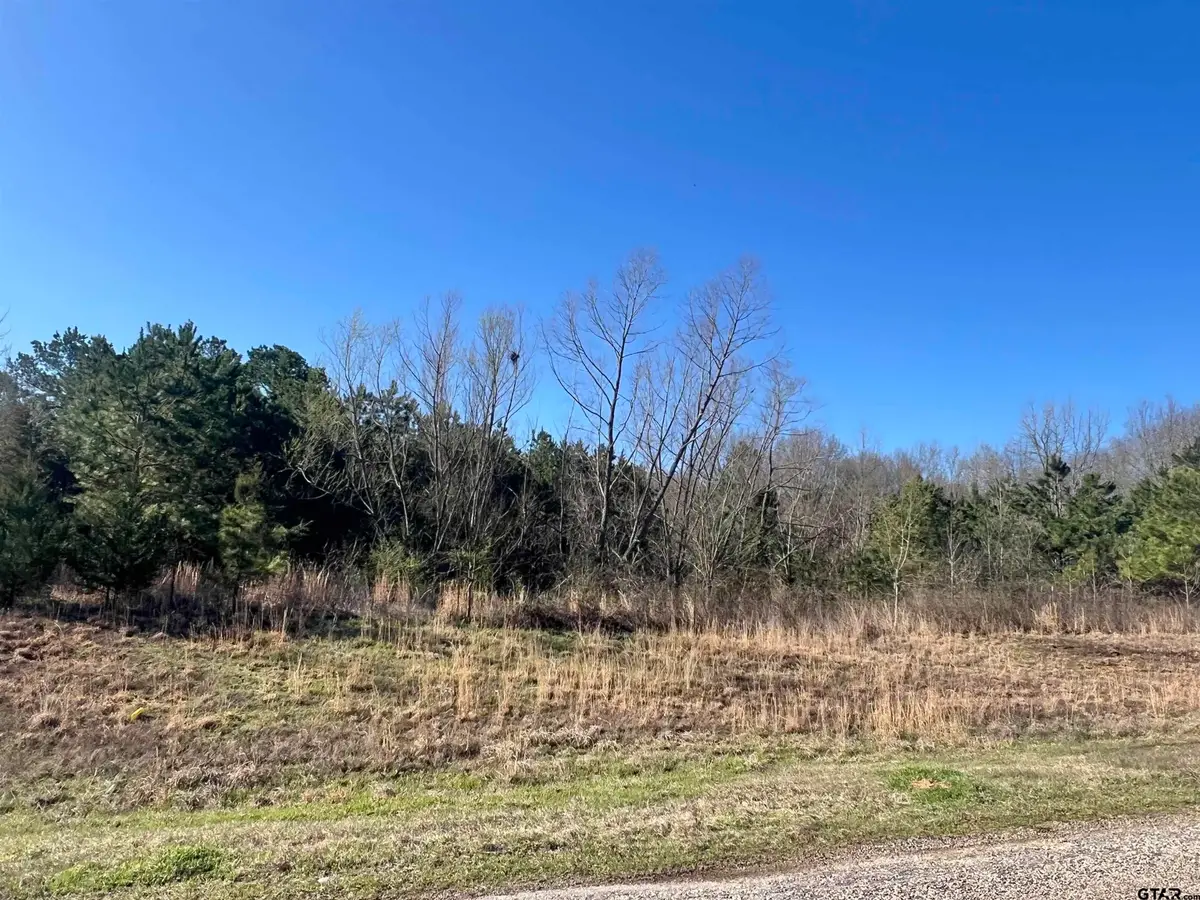 TBD Cr 1400, Mount Pleasant, TX 75455 - #1
