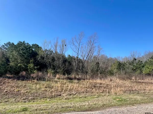 TBD Cr 1400, Mt Pleasant,  75455