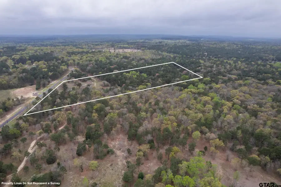 3719 Pine Wood Way (South 10.322 acres), Larue, TX 75770 - Image #2