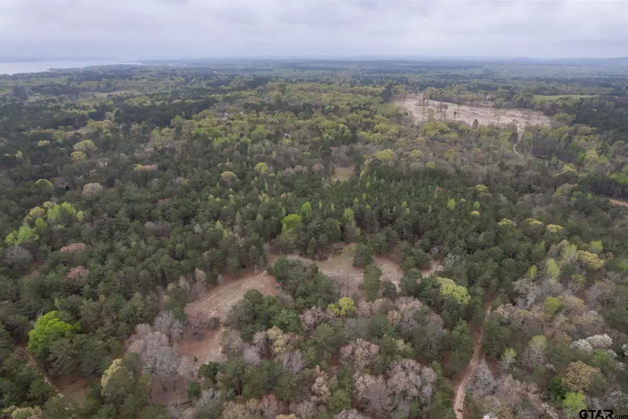 3719 Pine Wood Way (South 10.322 acres), Larue, TX 75770 - Image #3