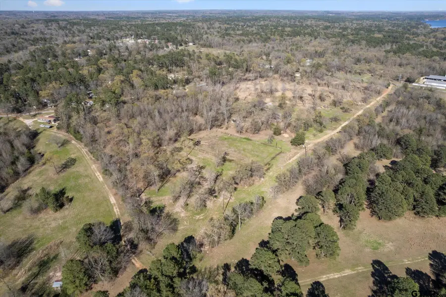 7050 FM 115, Scroggins, TX 75480 - #3