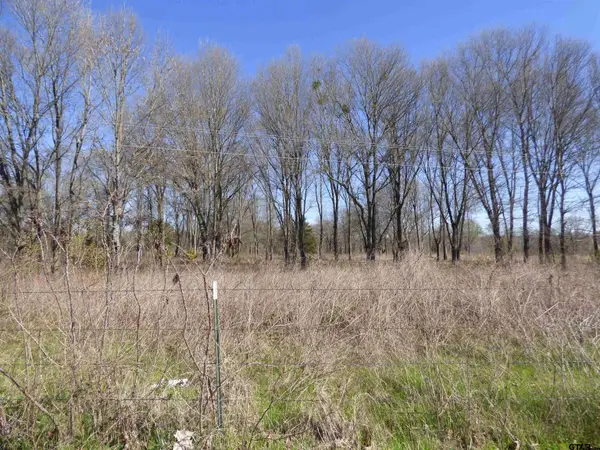 TBD Billy Daniels Parkway, Mt Pleasant, TX 75455