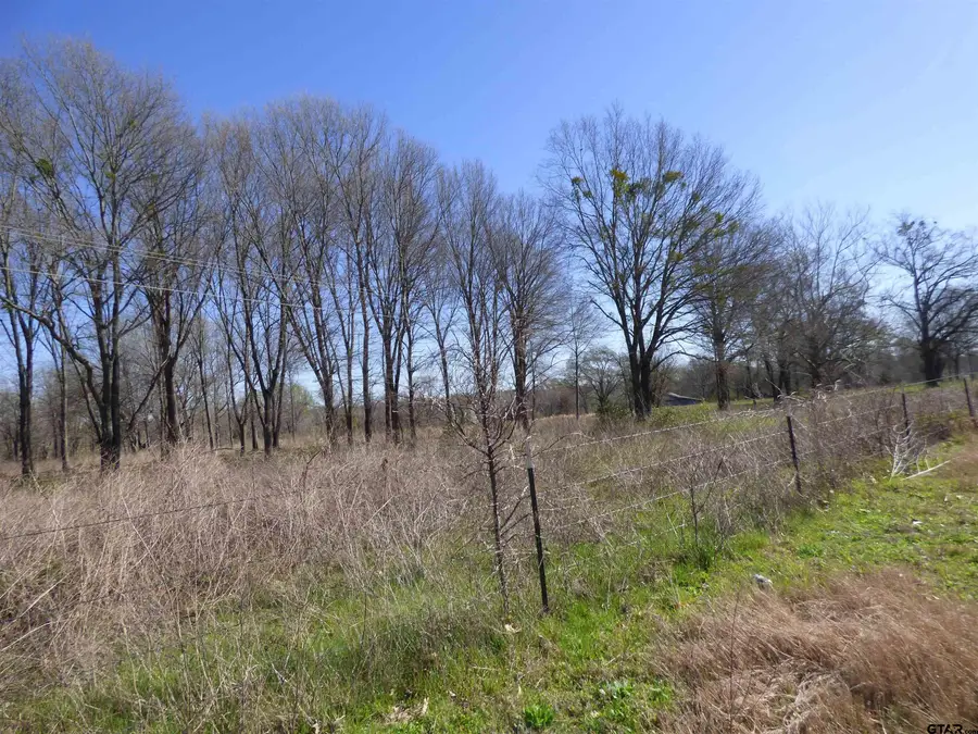 TBD Billy Daniels Parkway, Mount Pleasant, TX 75455 - Image #2