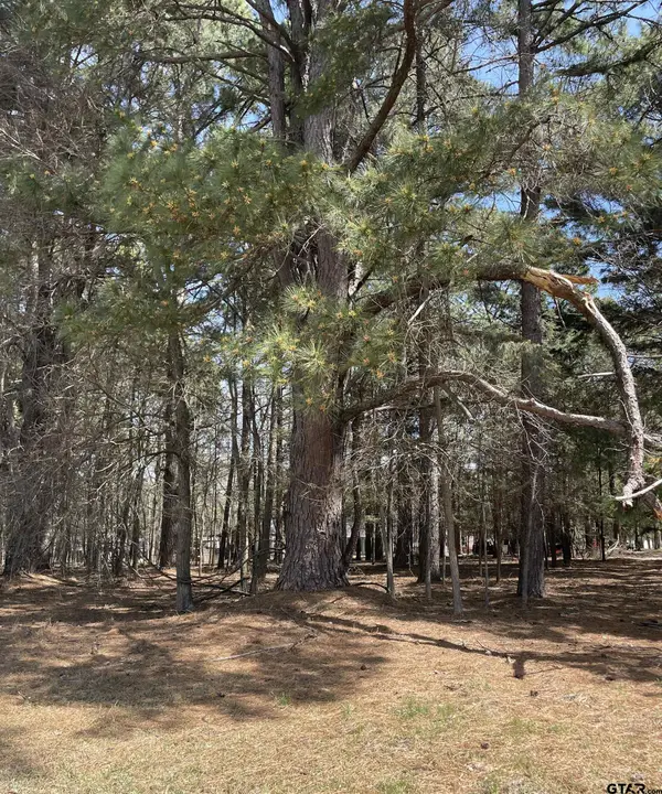 TBD CR 2432, Pittsburg, TX 75686