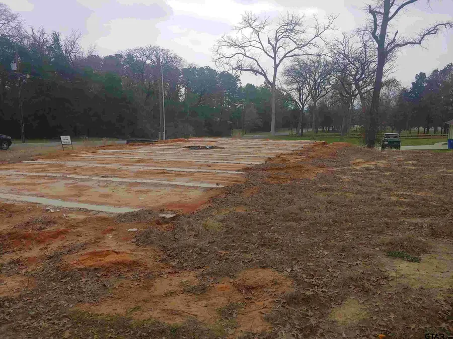 209 PEACHTREE LN, Big Sandy, TX 75755 - Image #2