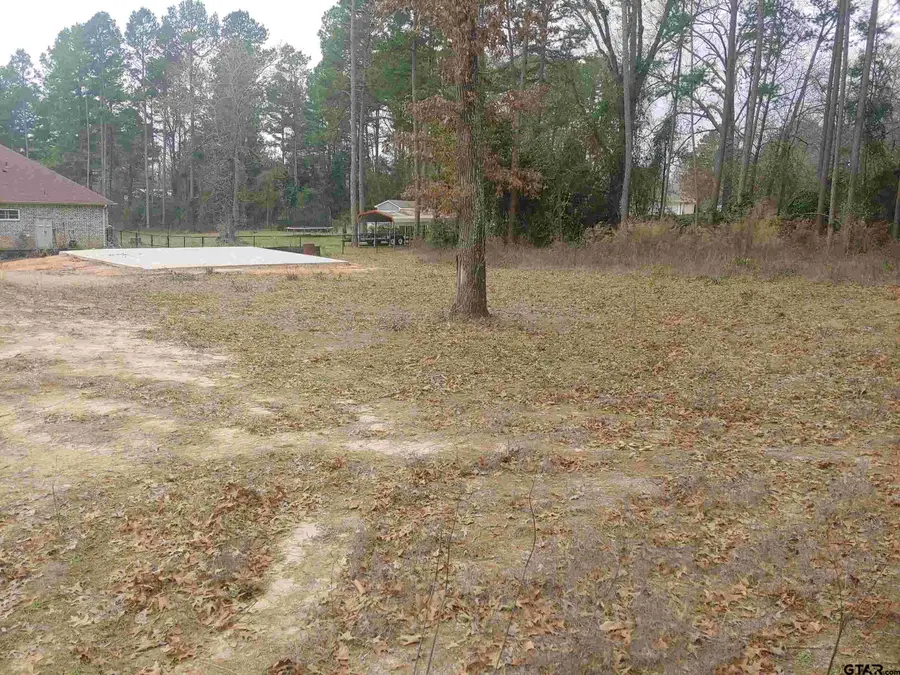 209 PEACHTREE LN, Big Sandy, TX 75755 - Image #3