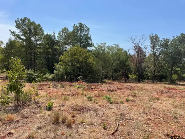 12339 Hackberry Hollow, Tyler, TX 75706