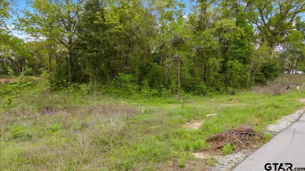 113 Private Road 6238, Mineola, TX 75773