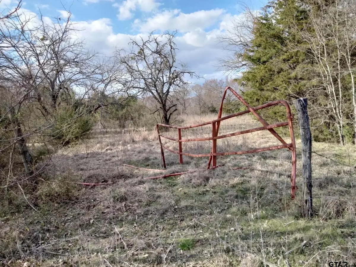 TBD FM 410, Detroit, TX 75436 - Image #1