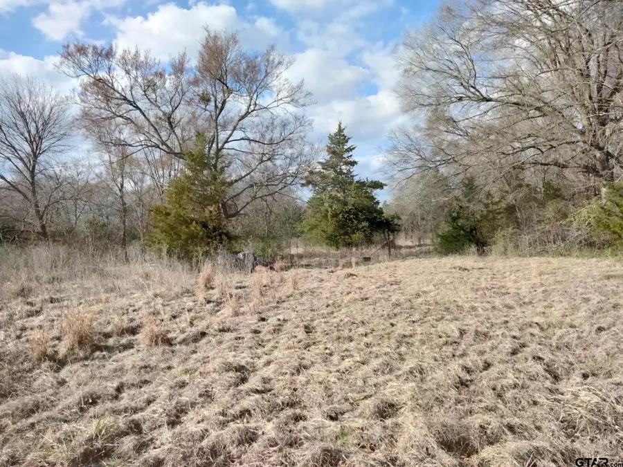TBD FM 410, Detroit, TX 75436 - Image #2