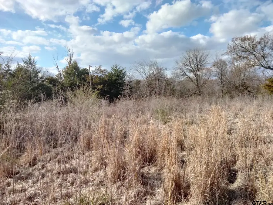 TBD FM 410, Detroit, TX 75436 - Image #3