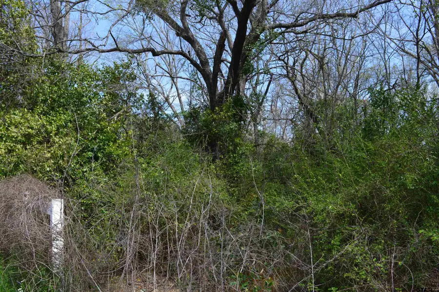 704 Duckenfield Ave, Tyler, TX 75701 - Image #2