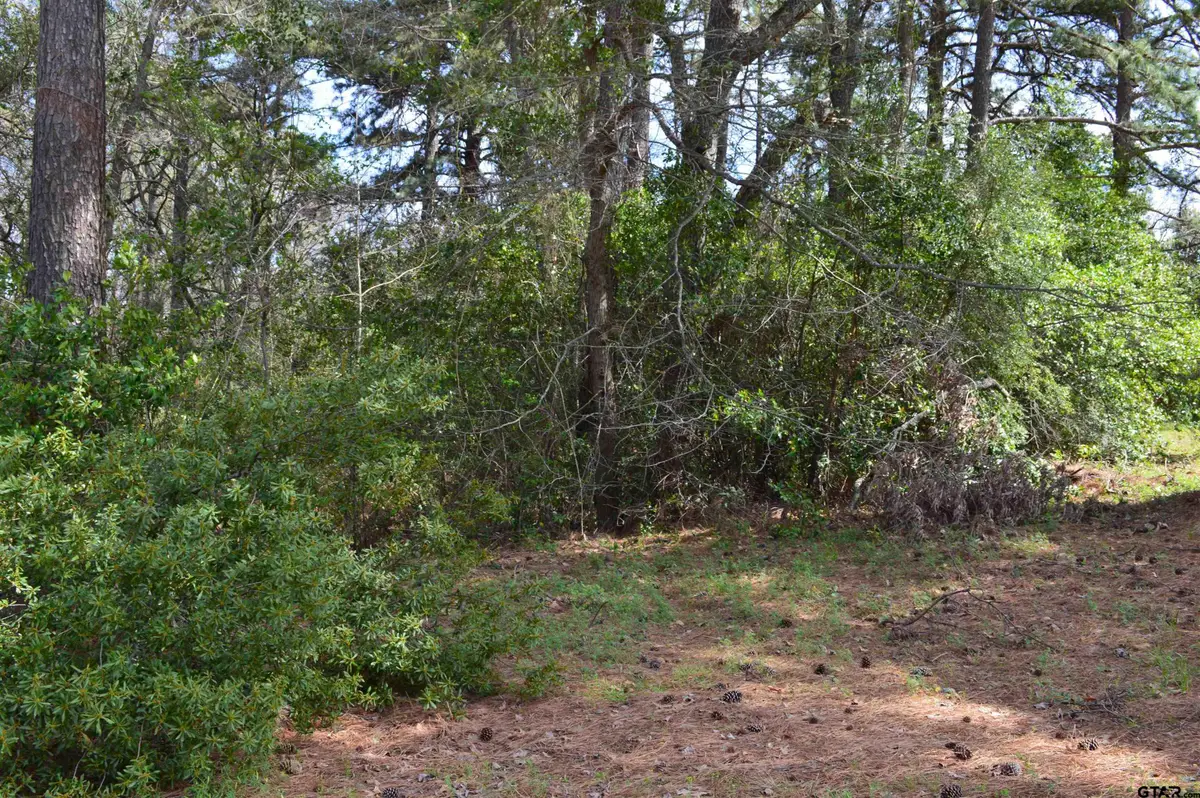 706 Duckenfield Ave, Tyler, TX 75701 - Image #1