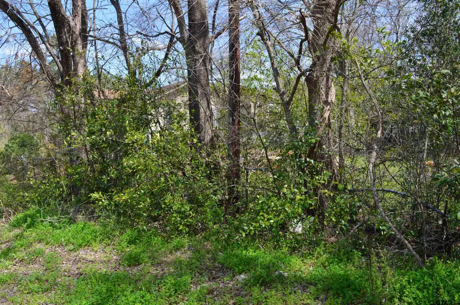 706 Duckenfield Ave, Tyler, TX 75701 - Image #2