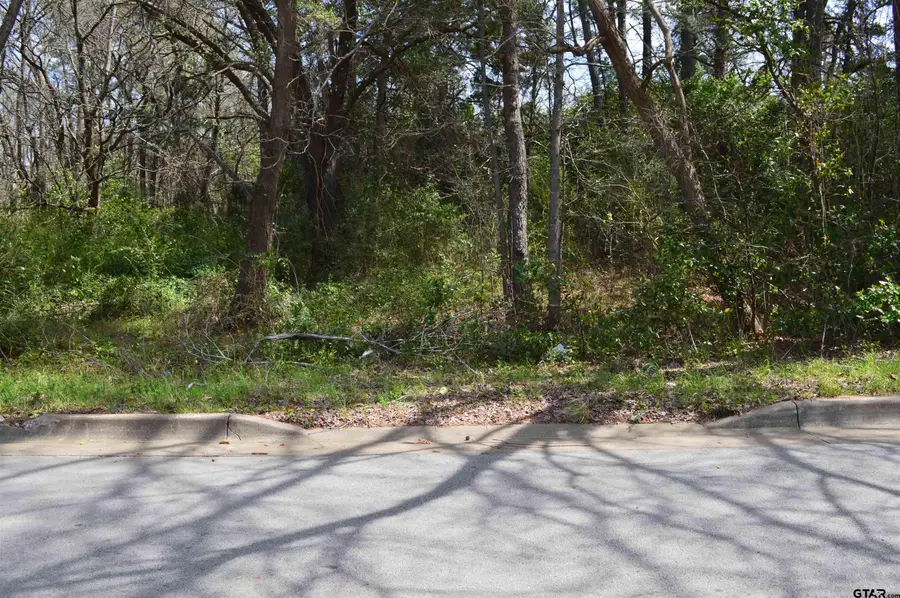 706 Duckenfield Ave, Tyler, TX 75701 - Image #3