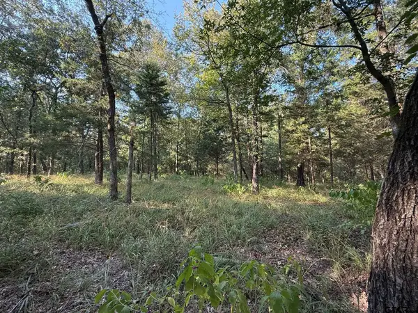 TBD CR 2798, Mineola, TX 75773