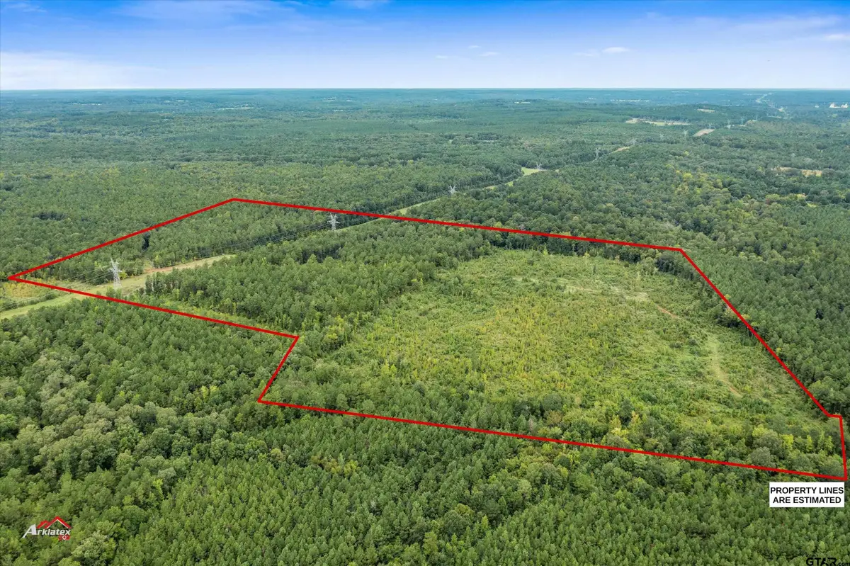 TBD Fm 95 (69+/- Acres), Mount Enterprise, TX 75681 - #1