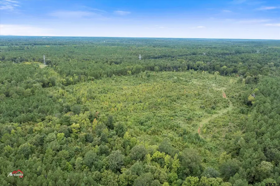 TBD Fm 95 (69+/- Acres), Mount Enterprise, TX 75681 - #3