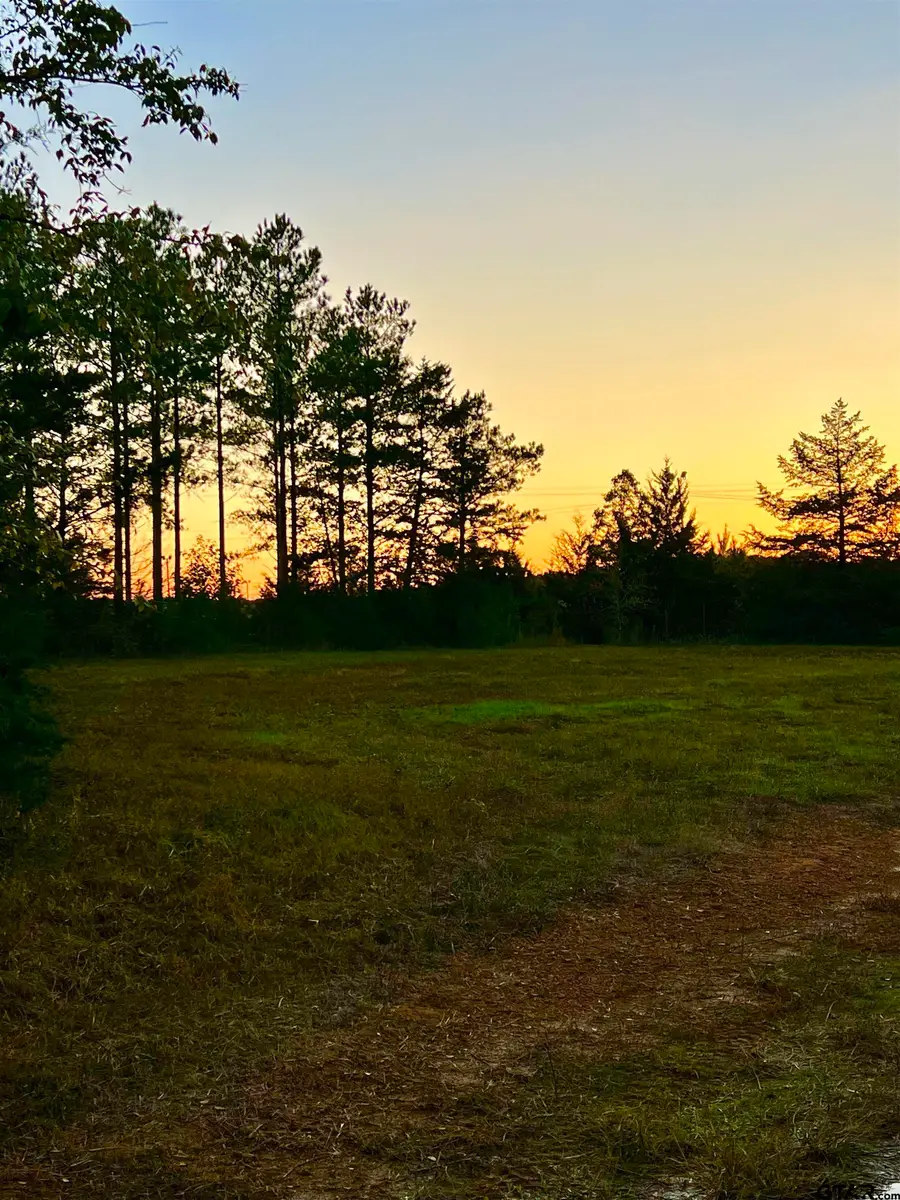 TBD S FM 161, Hughes Springs, TX 75656 - Image #2