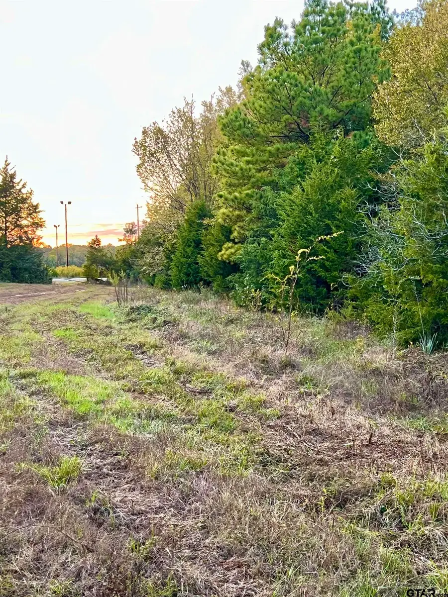 TBD S FM 161, Hughes Springs, TX 75656 - Image #3
