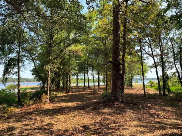 3196 Shadow Pine  DR Lot 46, LaRue, TX 75770