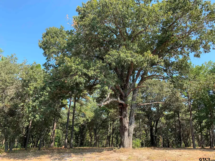 3196 Shadow Pine  DR Lot 46, Larue, TX 75770 - Image #2