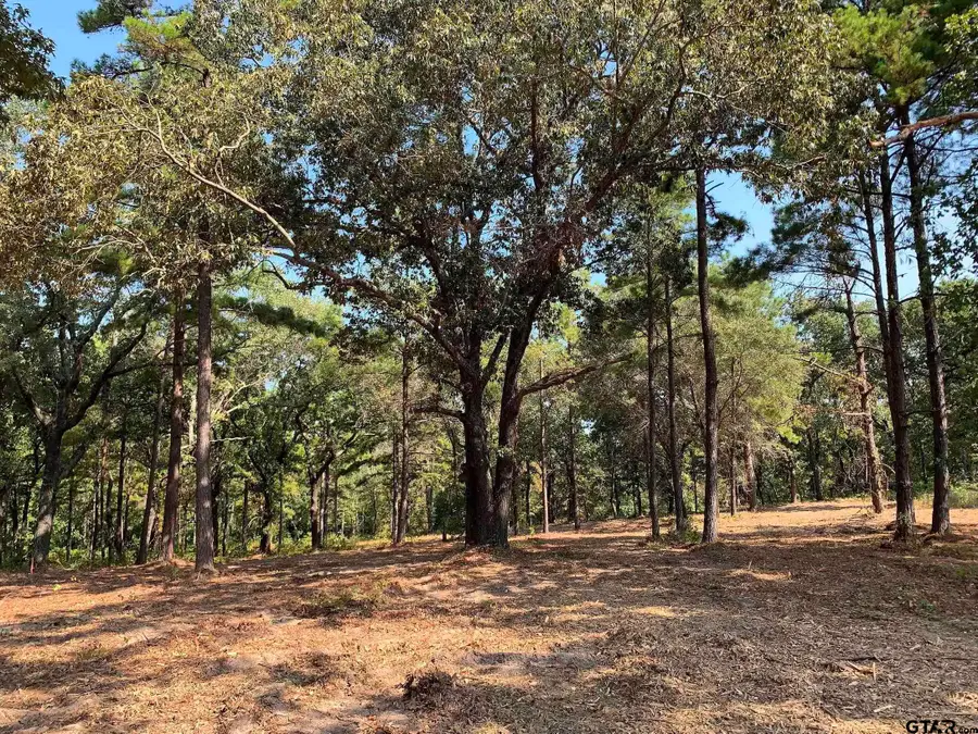 3196 Shadow Pine  DR Lot 46, Larue, TX 75770 - Image #3