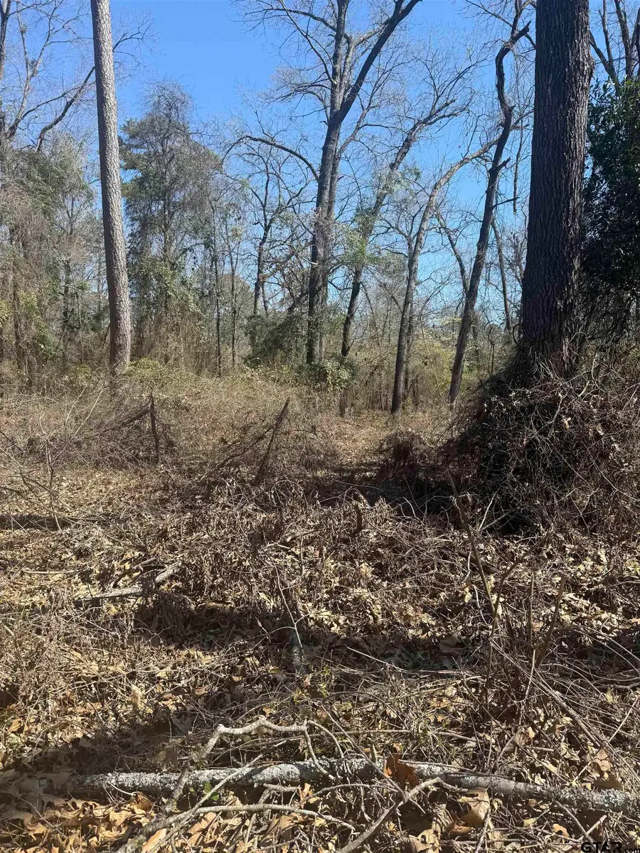 TBD King Arthur Court, Scroggins, TX 75480 - #2