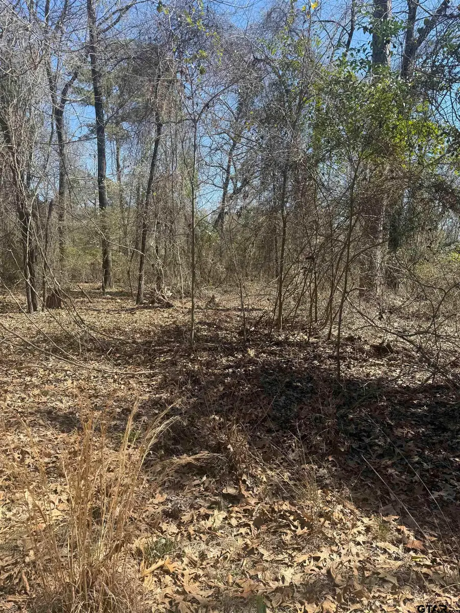 TBD King Arthur Court, Scroggins, TX 75480 - #3
