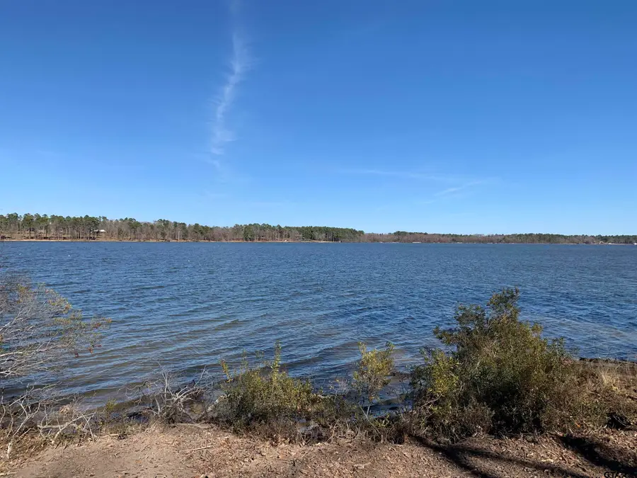 3266 Shadow Pine DR Lot 60, Larue, TX 75770 - Image #2