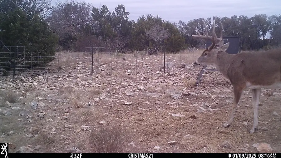 Lot 15 Contrary Creek Ranches, Rocksprings, TX 78880 - Image #2