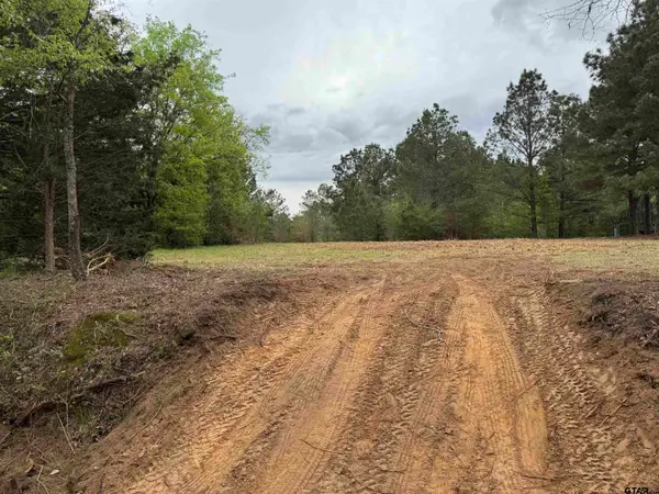 TBD CR 2147, Troup, TX 75789
